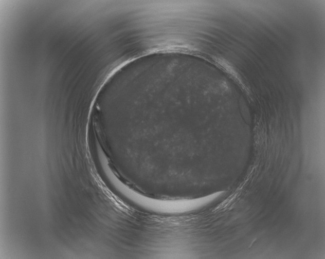 X0000056350932200509232101