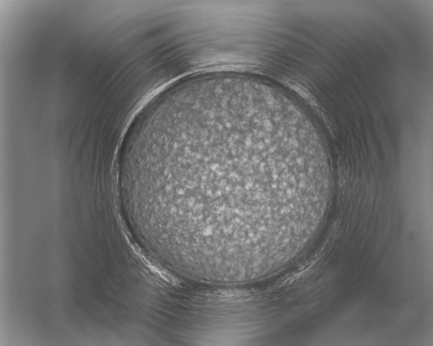 X0000056350933200509232101