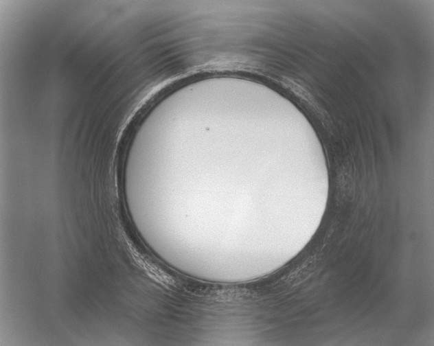 X0000056350934200509232101