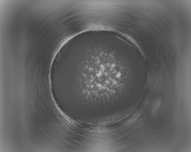 X0000056350935200509232101