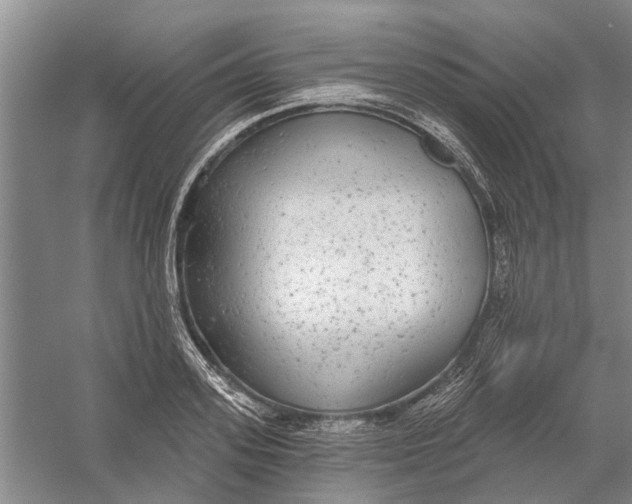 X0000056350939200509232101