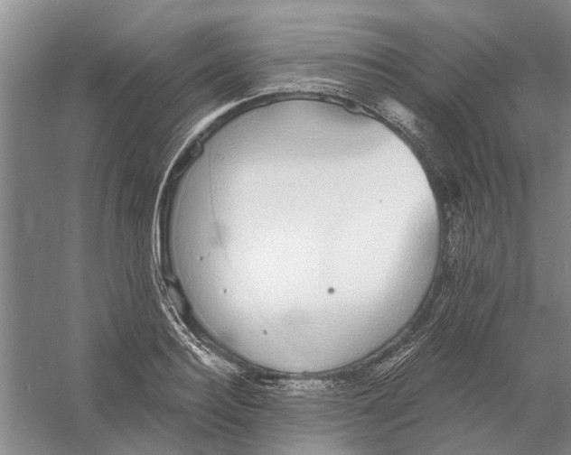 X0000056350940200509232101