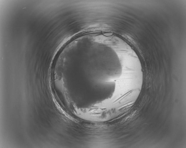 X0000056350941200509232101