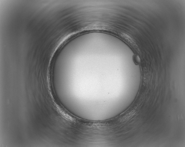 X0000056350942200509232101