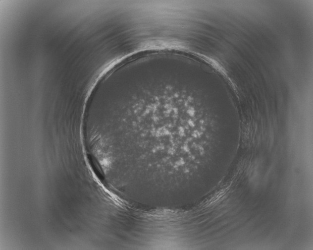 X0000056350943200509232101