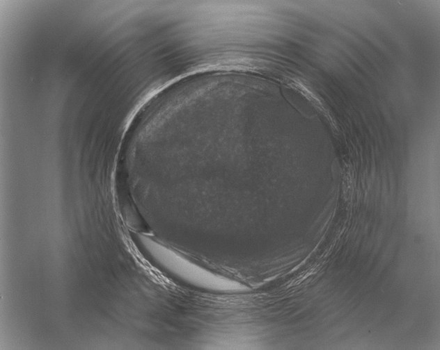 X0000056350944200509232102