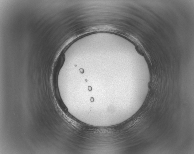 X0000056350947200509232102