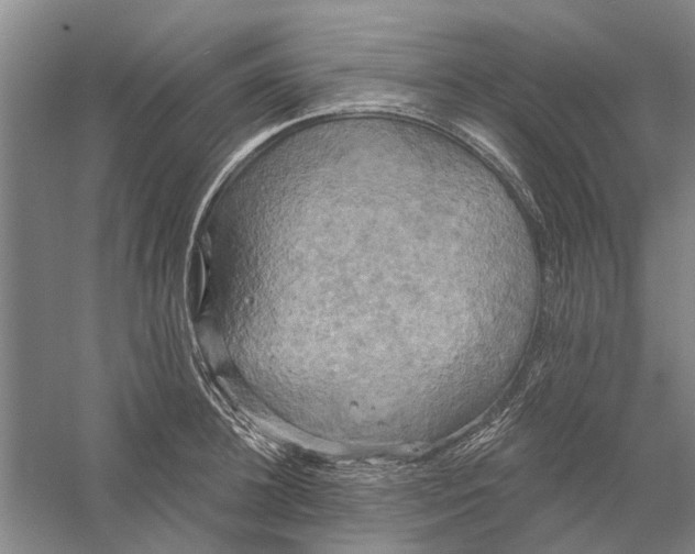 X0000056350948200509232102