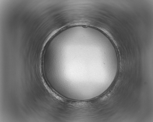 X0000056350949200509232102