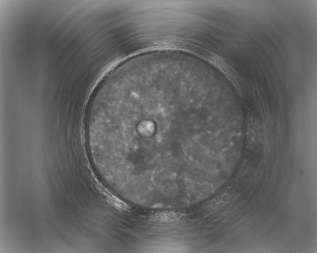 X0000056350950200509232102