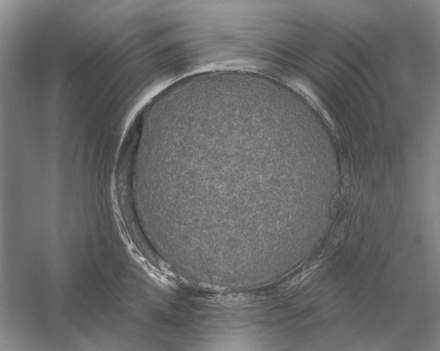 X0000056350952200509232102