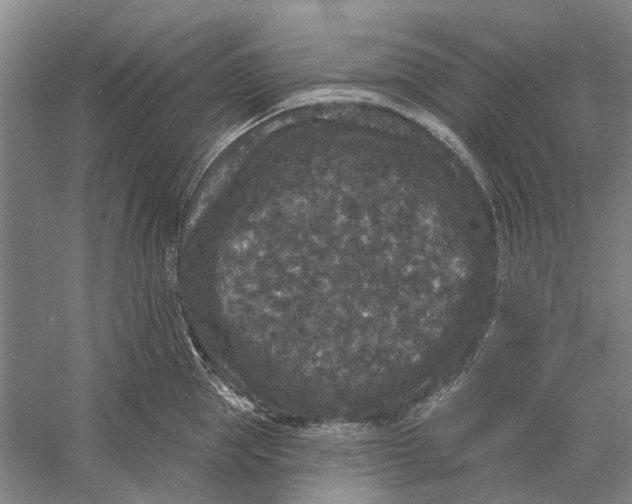 X0000056350953200509232102