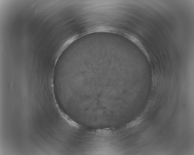 X0000056350954200509232102