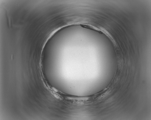 X0000056350956200509232102