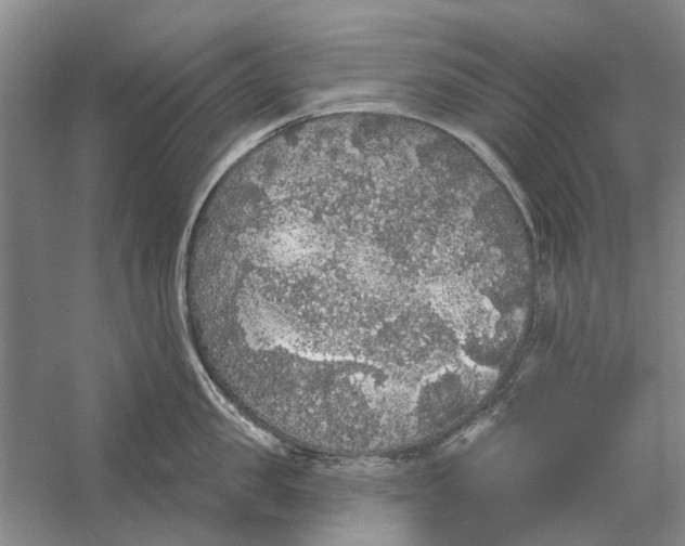 X0000056350957200509232102