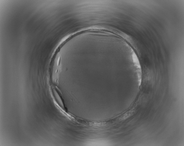 X0000056350958200509232102