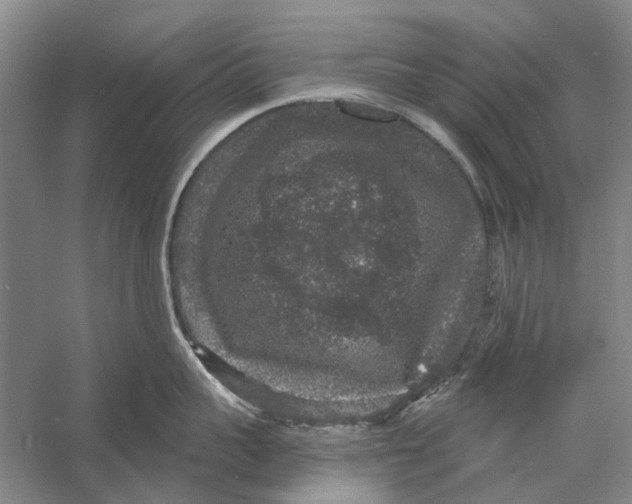 X0000056350959200509232102