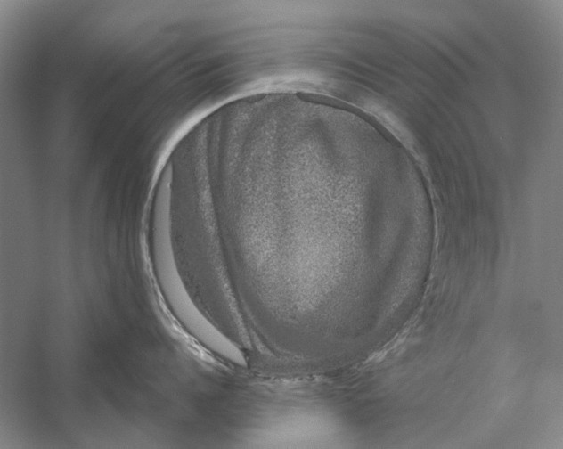 X0000056350960200509232102