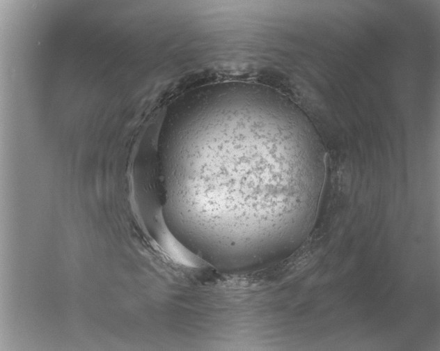 X0000056350961200509232101