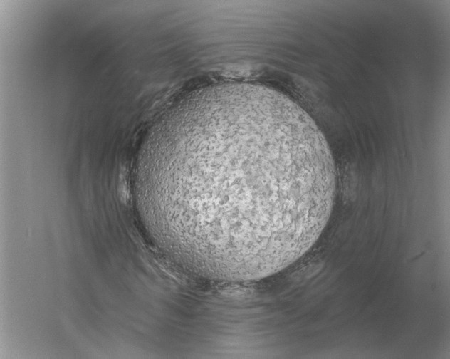 X0000056350962200509232101