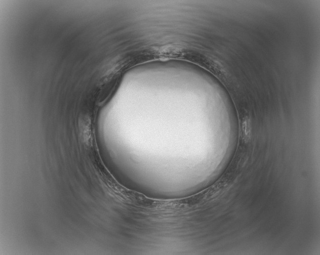 X0000056350963200509232101