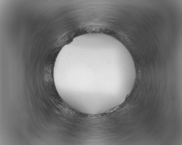 X0000056350964200509232101