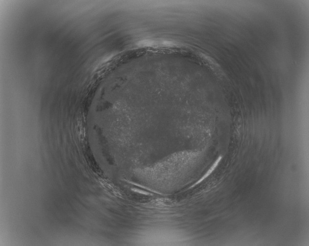 X0000056350966200509232101