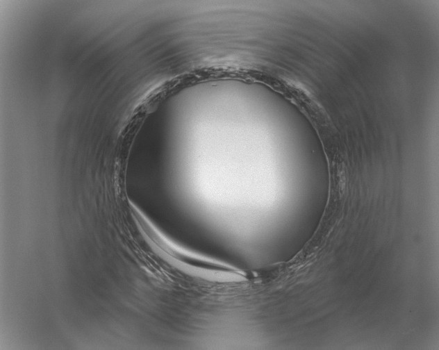 X0000056350968200509232101