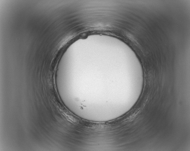 X0000056350970200509232101