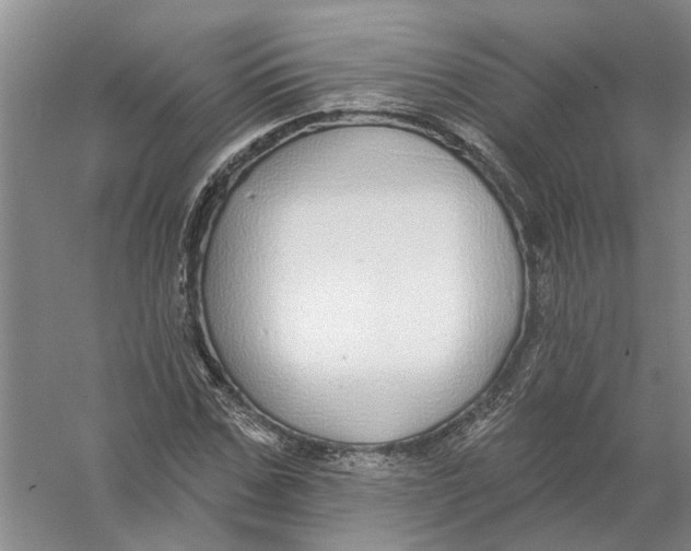 X0000056350971200509232101