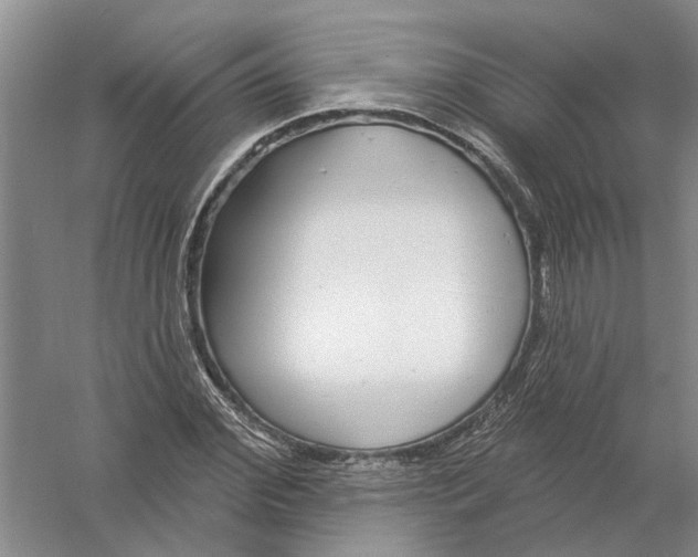 X0000056350972200509232101