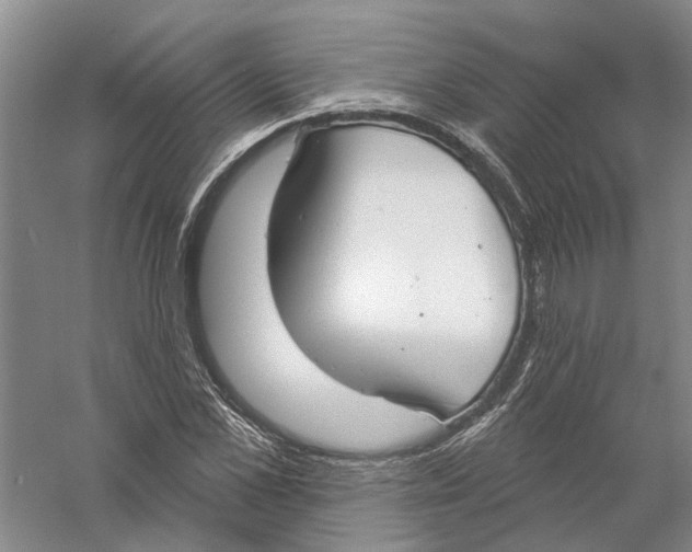 X0000056350973200509232101