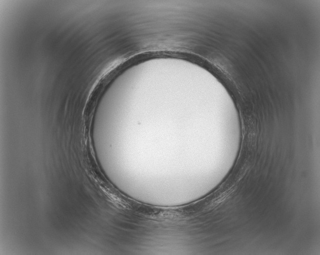 X0000056350974200509232101