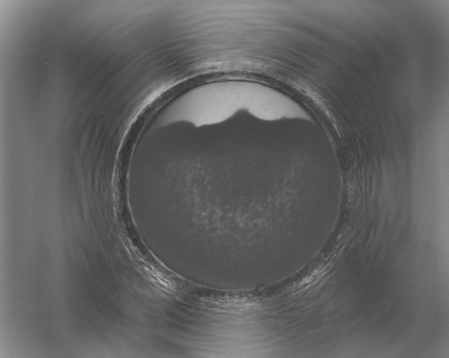 X0000056350975200509232101