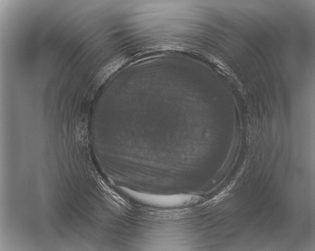 X0000056350977200509232101