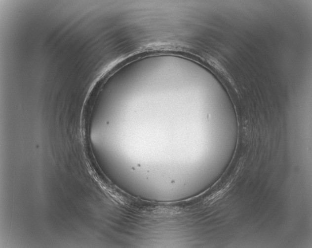 X0000056350981200509232101