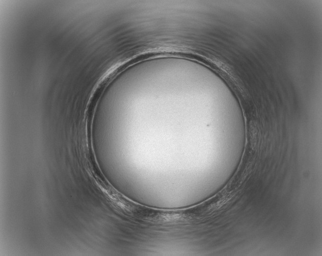 X0000056350982200509232101