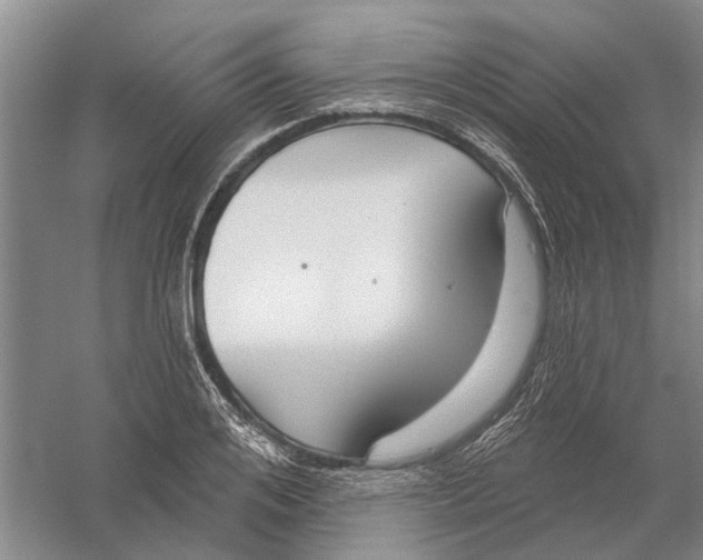 X0000056350984200509232101