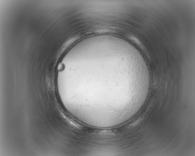 X0000056350986200509232101