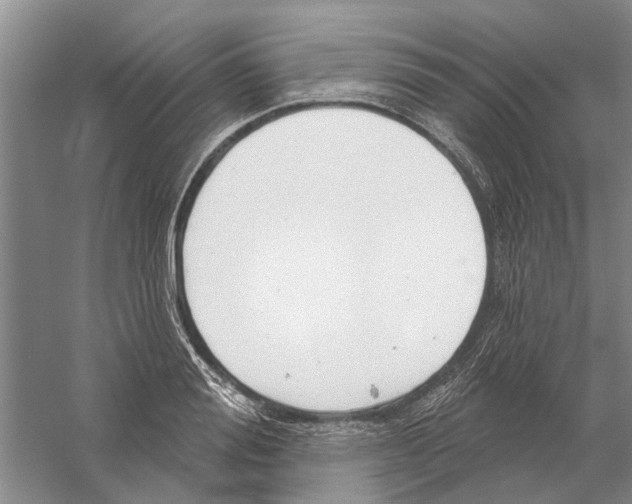 X0000056350988200509232101