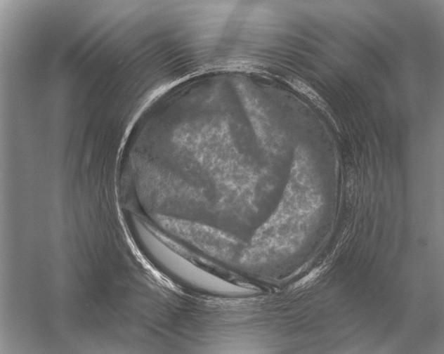 X0000056350989200509232100