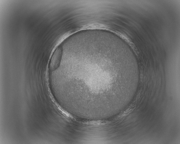 X0000056350990200509232100