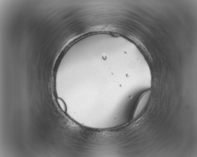 X0000056350992200509232100