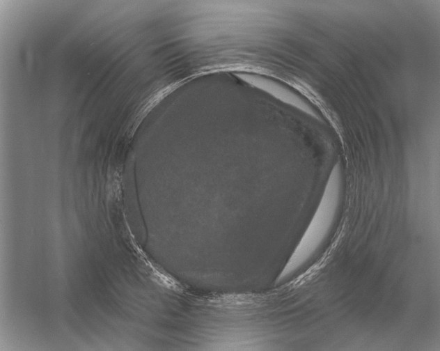 X0000056350993200509232100