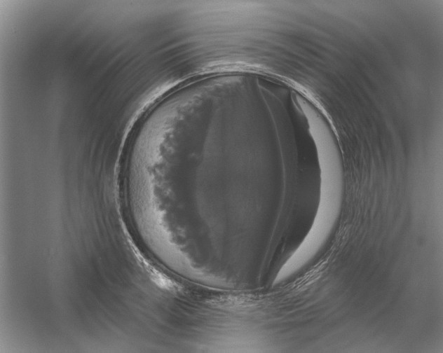 X0000056350995200509232100