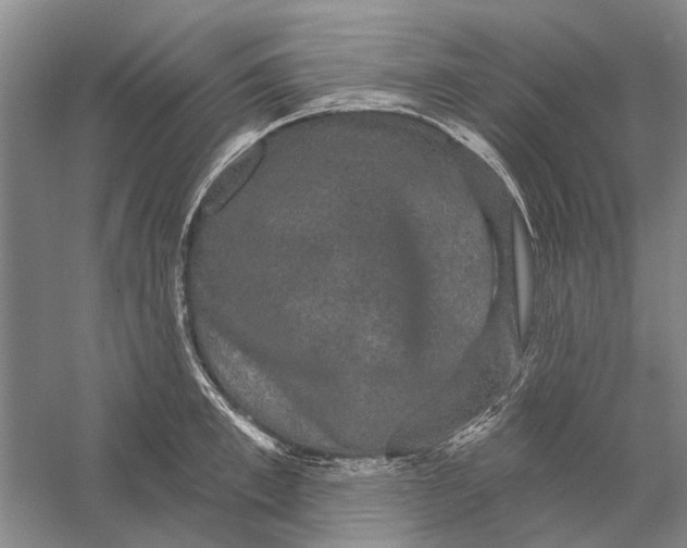 X0000056350997200509232100