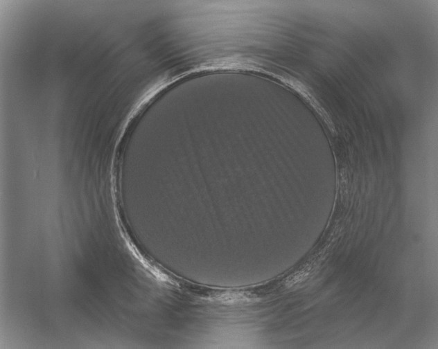 X0000056350998200509232100