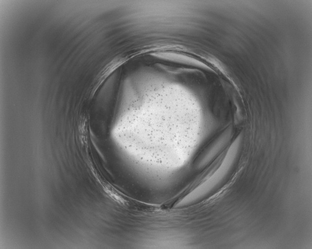 X0000056351001200509232100