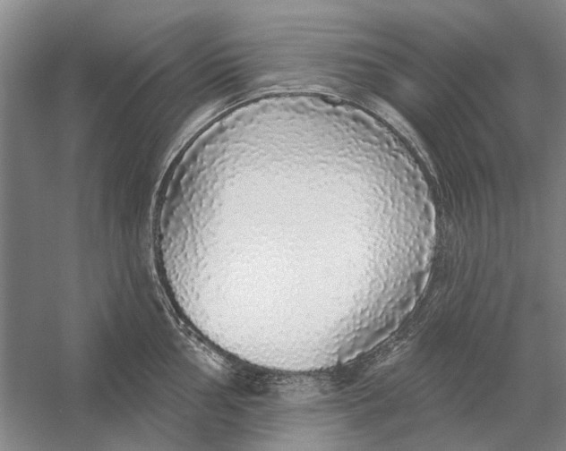 X0000056351002200509232100