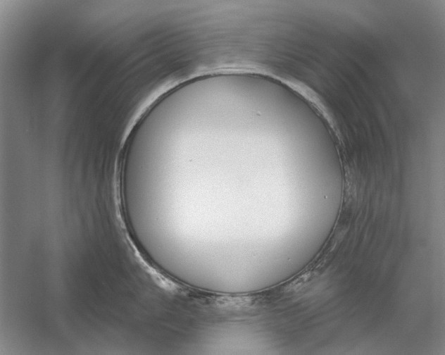 X0000056351006200509232100